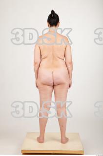 Body texture of Gevana 0026